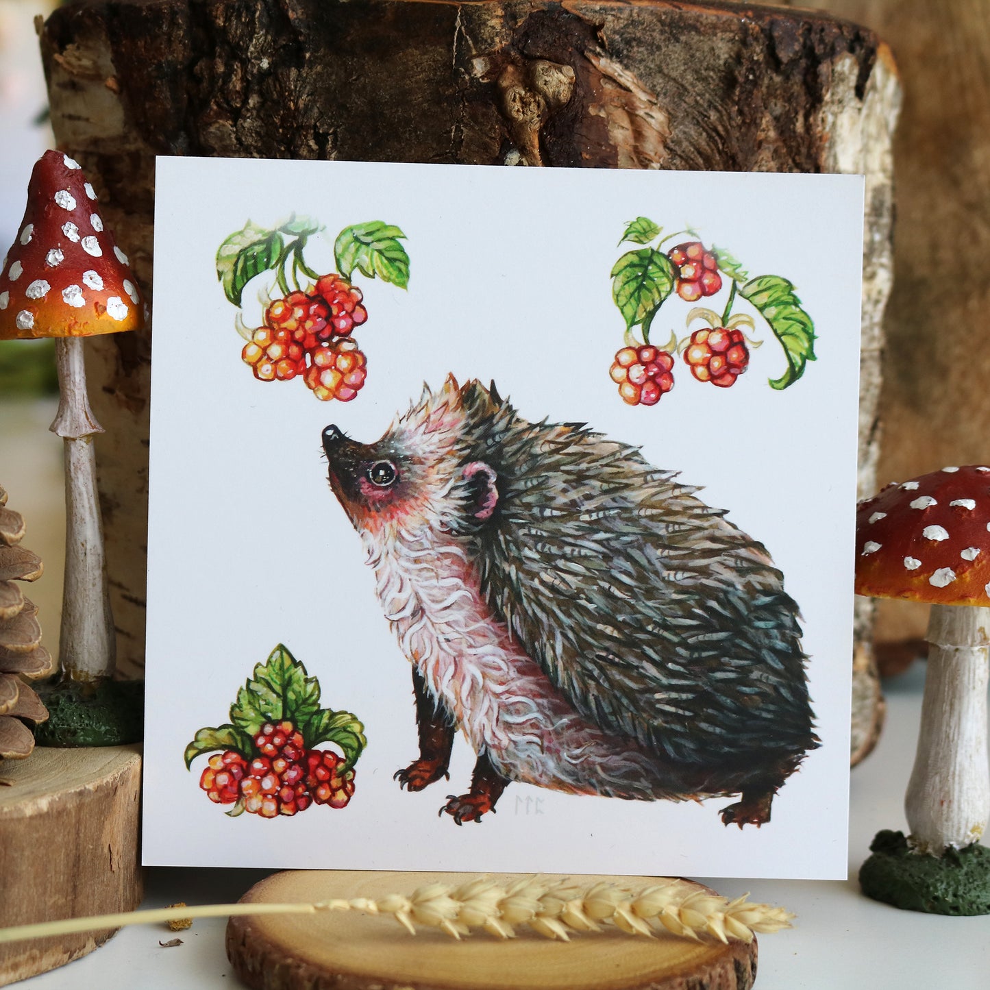 "Hedgehog" Postcard print