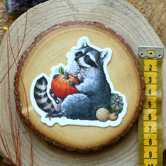 "Raccoon" vinyl sticker